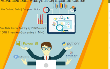 Data Analyst Course in Delhi, 110065.Certification