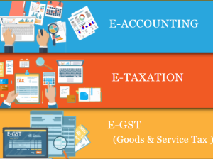 Job Oriented Accounting Course in Delhi, 110035,