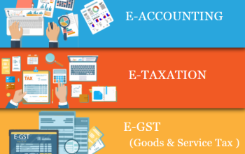 Job Oriented Accounting Course in Delhi, 110035,