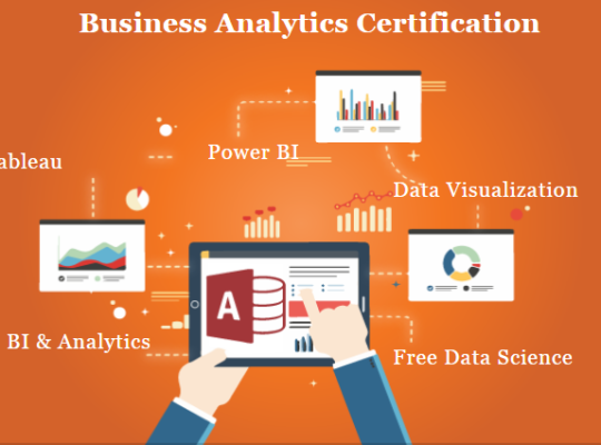 Top 12 Business Analyst Courses in Delhi, 110018