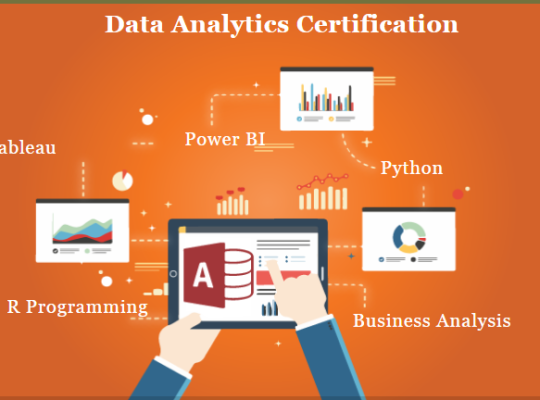 Data Analytics Courses with Placement Assistance