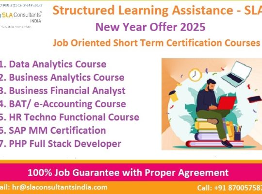 Business Analyst Course in Delhi, 110002.